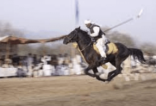 Are There Any Safety Measures In Place For Both The Riders And The Horses During Tent Pegging Events?