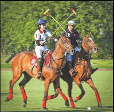What Are The Roles Of Players In A Polo Match?