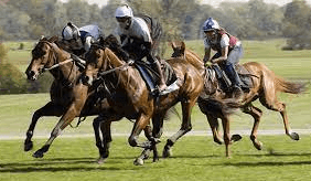 Are There Any Safety Measures In Place For The Welfare Of The Horses And Jockeys During Races?