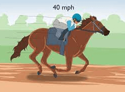 How Are Racehorses Trained For Thoroughbred Racing, And What Are Some Typical Training Methods?