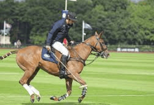 Are There Any Famous Polo Players Who Have Made Significant Contributions To The Sport?