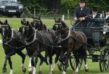 How Can One Prepare For A Combined Driving Event?