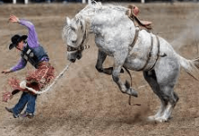 How Can One Prepare For A Rodeo Competition?