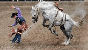How Can One Prepare For A Rodeo Competition?