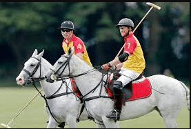 Can You Recommend Some Resources Or Books For Someone Interested In Learning More About Polo?