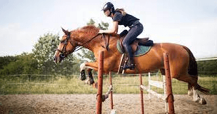 How Can Show Jumping Skills Be Improved?