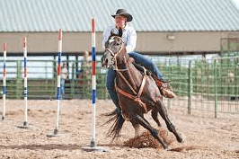 Are There Any Safety Measures In Place For Both The Riders And The Horses During Pole Bending Events?