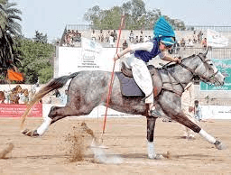 How Can One Learn Tent Pegging?