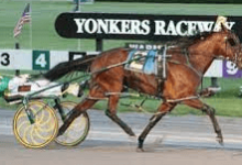 How Can A Driver Influence The Result Of A Harness Race?