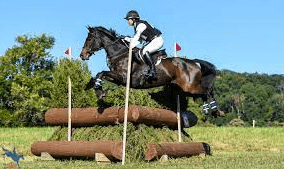 What Are The Rules Of Eventing?