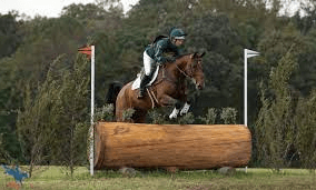 How Can I Train My Horse For Eventing?