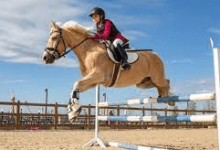 Are There Any Age Or Weight Restrictions For Participating In Equestrian Sports?