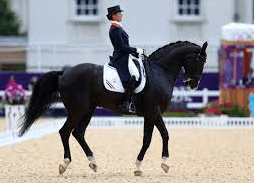 Can You Recommend Some Books Or Resources To Learn More About Equestrian Sports?