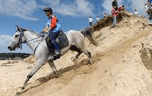 How Can I Improve My Horse Riding Skills?