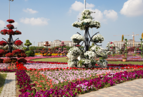 Blossoming Metropolis: The Role of Landscaping in Dubai's Growth