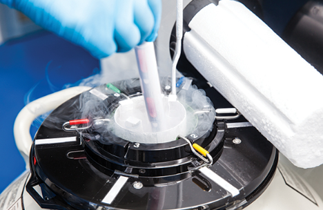 The Crucial Role of Liquid Nitrogen in IVF Clinics