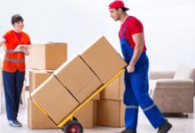 Expert Movers