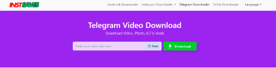 Telegram Video Downloader