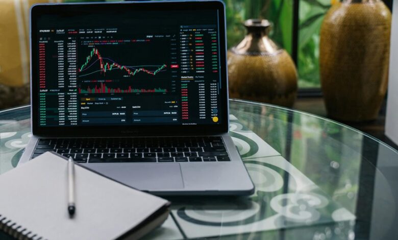 beginner stock investment guide