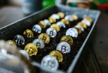 future wealth stock picks