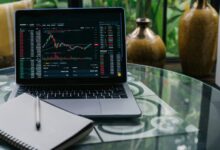 growth potential investment stocks