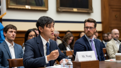 How Would DeepSeek Allocate a $10 Million Portfolio in 2025? – Insights from Ark
