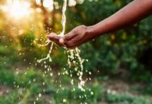 Addressing Water Wastage: Our Commitment to Sustainable Solutions