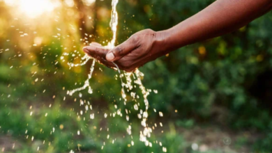 Addressing Water Wastage: Our Commitment to Sustainable Solutions