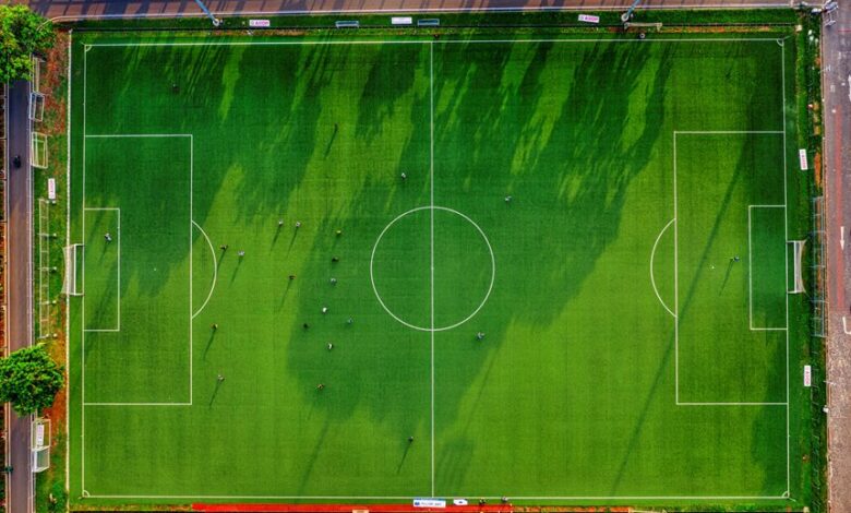 dtcoralbsel overview and activity