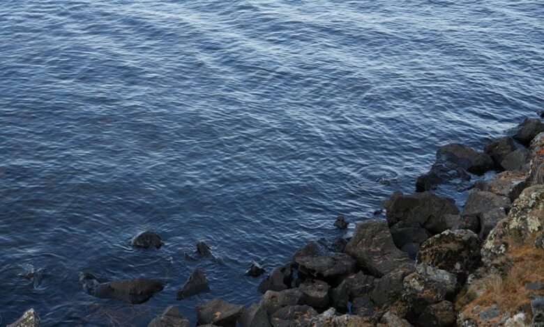 gicozijerzu details and updates