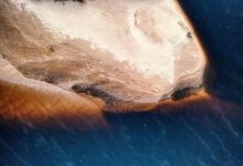 harmonicode com features overview