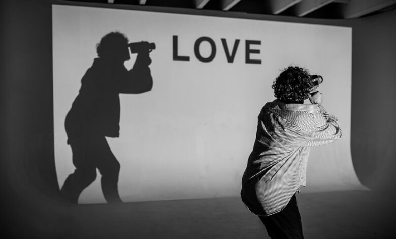 mellozgalgoen profile summary