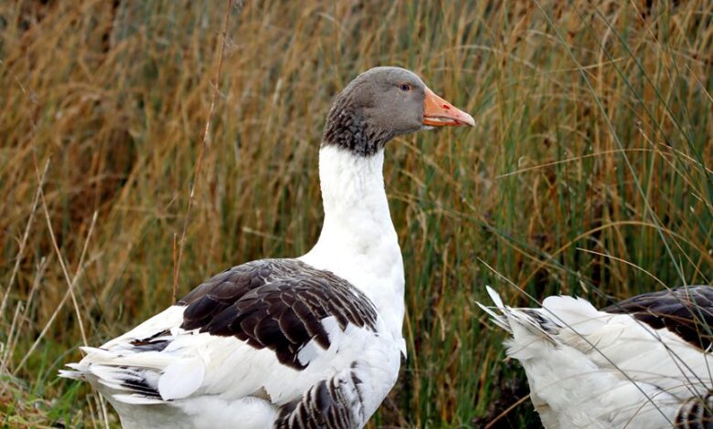 profile overview and updates