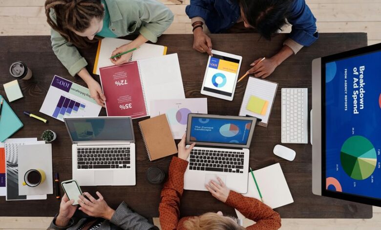 study report on identifiers