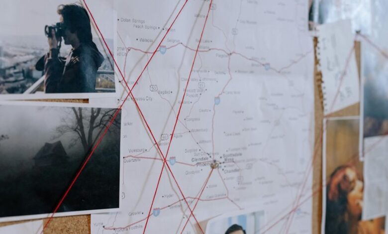 digital profile activity summary