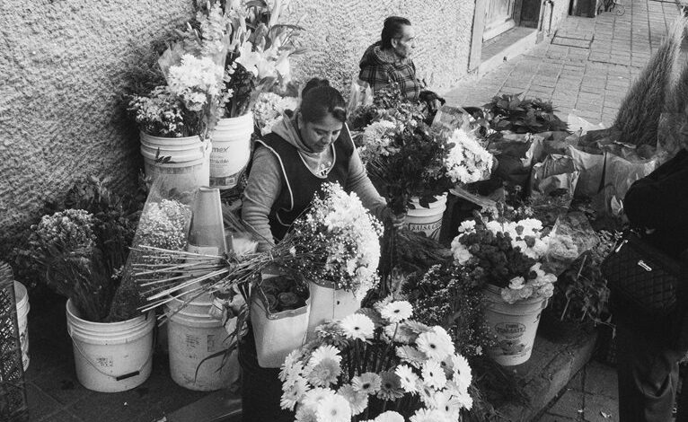 market intelligence data analysis