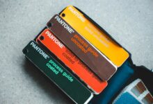 comprehensive xevotellos model overview