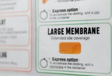 etydbruk detailed exploration guide