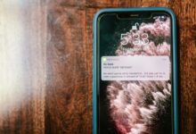 fraud check call verification