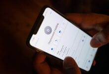 fraud hotline call verification