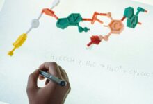 growth visibility for exposure