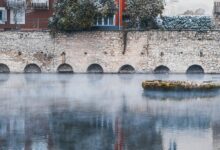 krylovalster s distinctive characteristics outlined