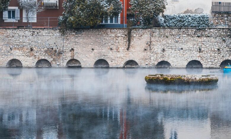 krylovalster s distinctive characteristics outlined