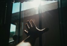 maximize digital exposure strategies