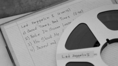 zeppelinargreve specific details summary