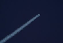 edge 600135203 digital momentum