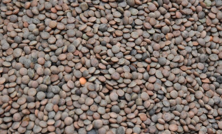 enhanced pulse lens market