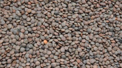 lens market transformation strategy