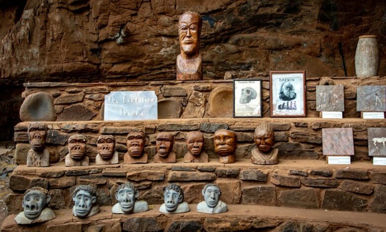 precision growth design tactical evolution