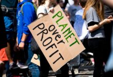 profit stream fueling expansion growth